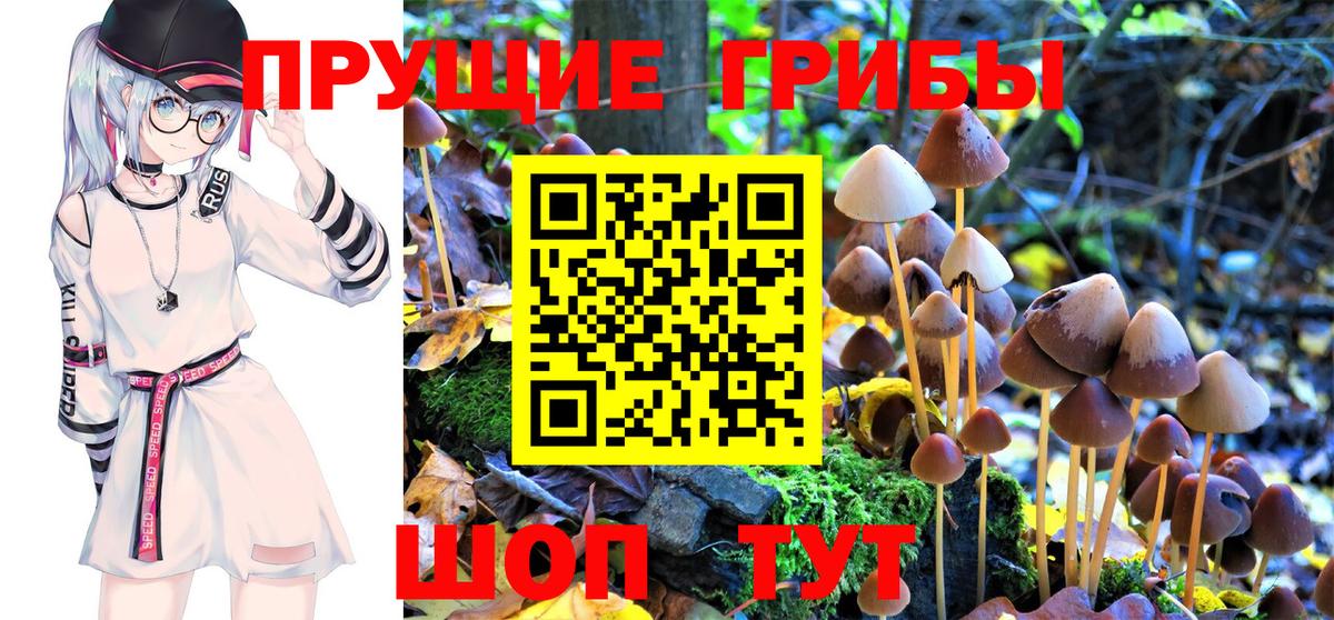 Дербент  Псилоцибиновые грибы мицелий  Галлюциногенные грибы Magic Shrooms  Вход с VPN 